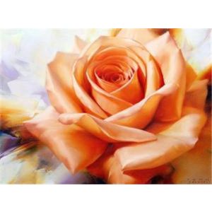 Diamond Painting Orangene Rose 50x40 cm 2St 6037-50011 4016490911203  